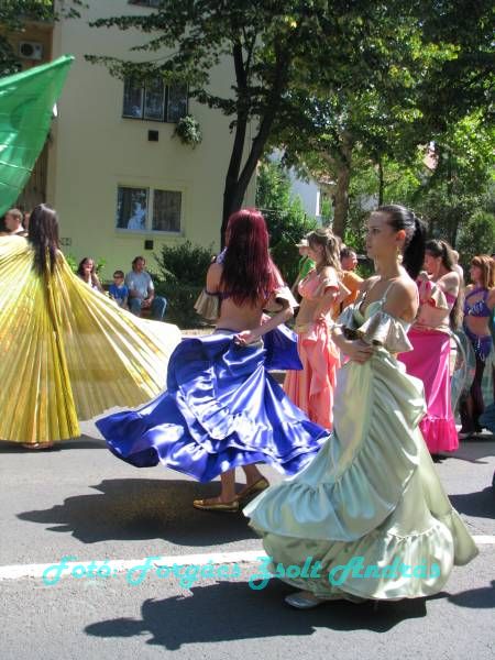 debreceni_virag_karneval_2009__082.JPG